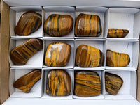Polished Jumbo Golden Tigers Eye with Banded Iron Stone Free Forms x 12 From Prieska, South Africa