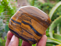 Polished Jumbo Golden Tigers Eye with Banded Iron Stone Free Forms x 12 From Prieska, South Africa
