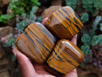Polished Jumbo Golden Tigers Eye with Banded Iron Stone Free Forms x 12 From Prieska, South Africa
