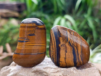 Polished Jumbo Golden Tigers Eye with Banded Iron Stone Free Forms x 12 From Prieska, South Africa