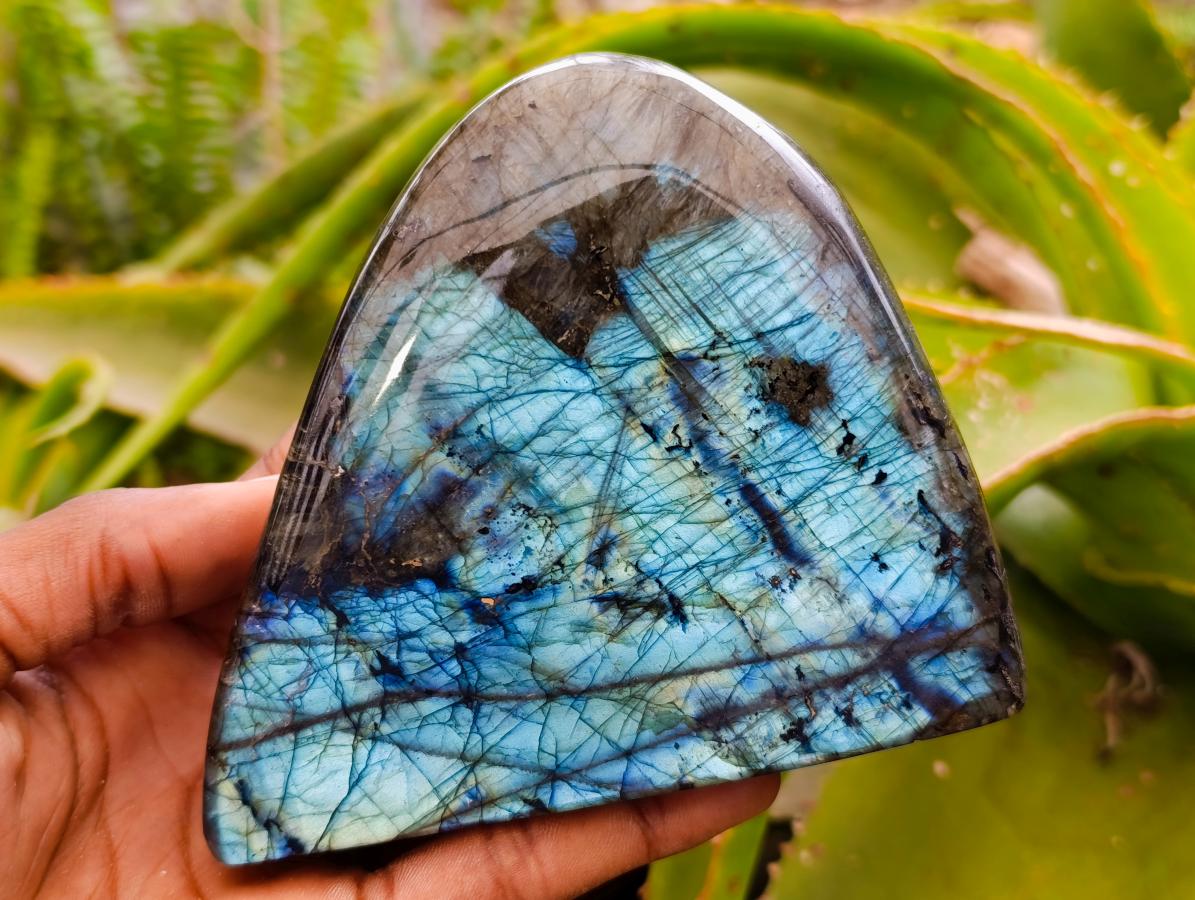 Polished Labradorite Standing Free Forms x 3 From Tulear, Madagascar