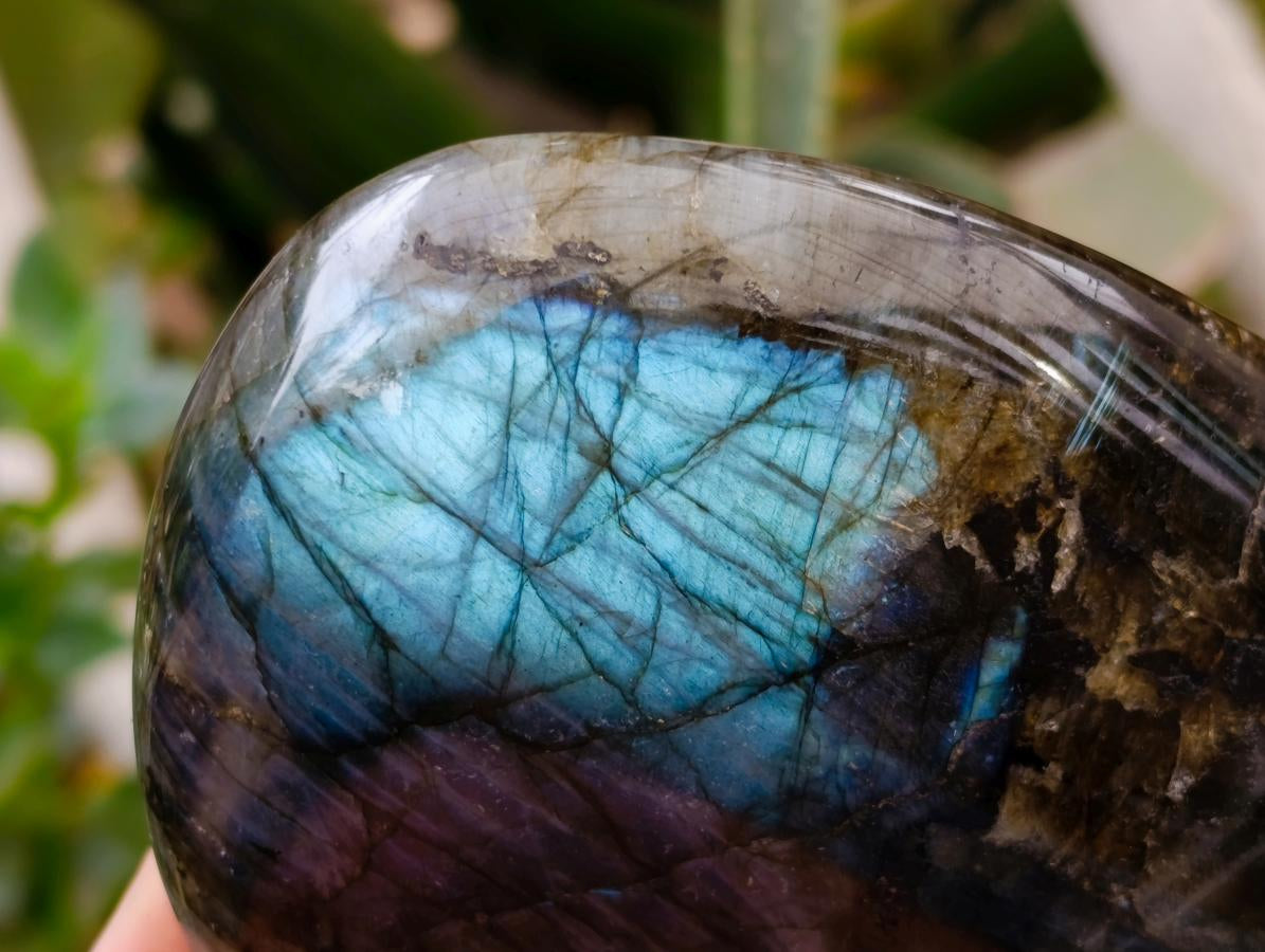 Polished Labradorite Standing Free Forms x 3 From Tulear, Madagascar
