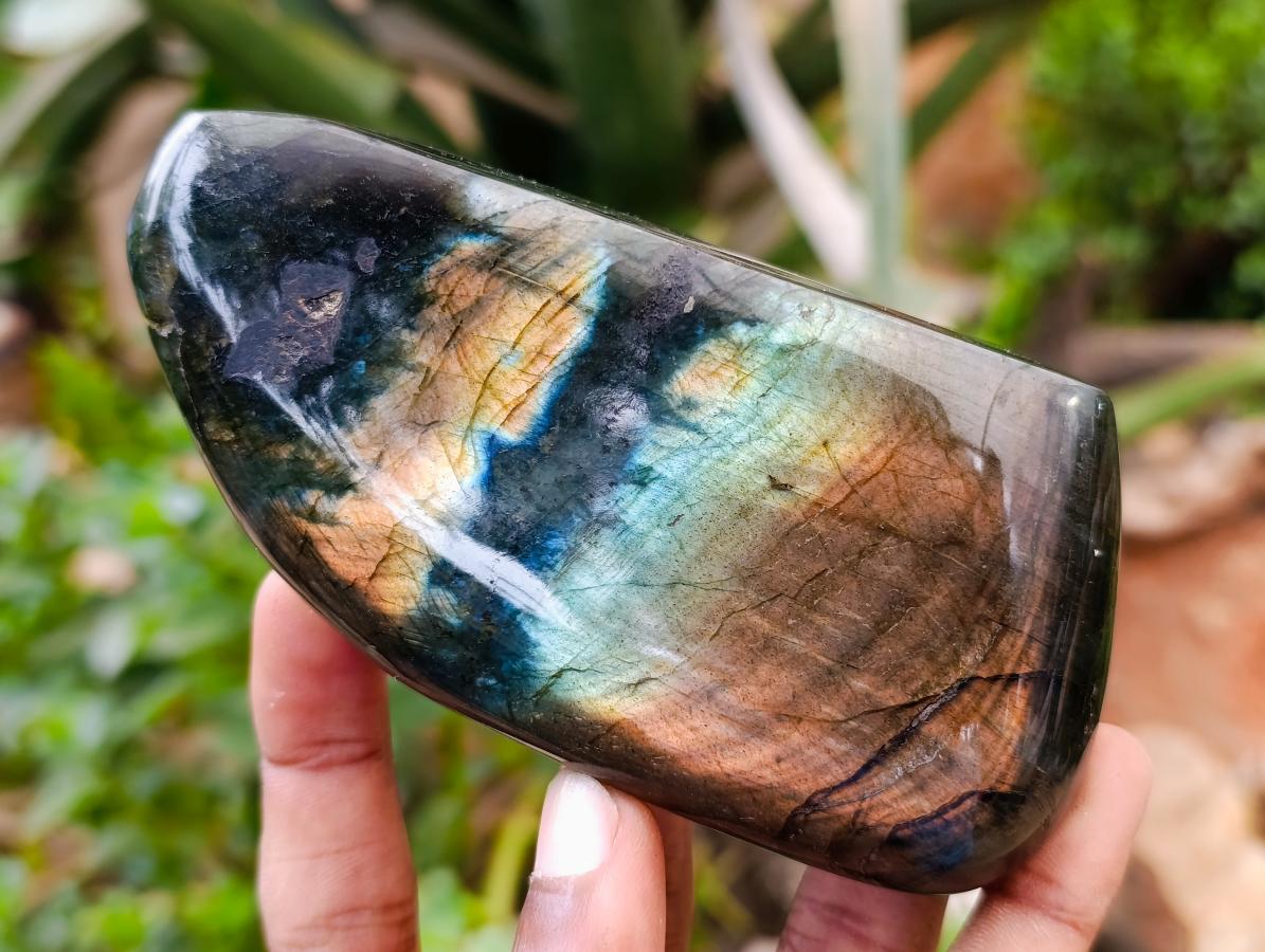 Polished Labradorite Standing Free Forms x 3 From Tulear, Madagascar