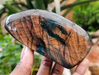 Polished Labradorite Standing Free Forms x 3 From Tulear, Madagascar