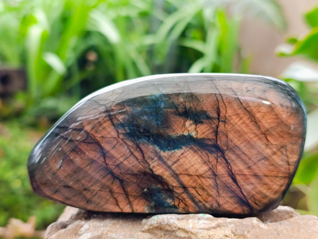 Polished Labradorite Standing Free Forms x 3 From Tulear, Madagascar