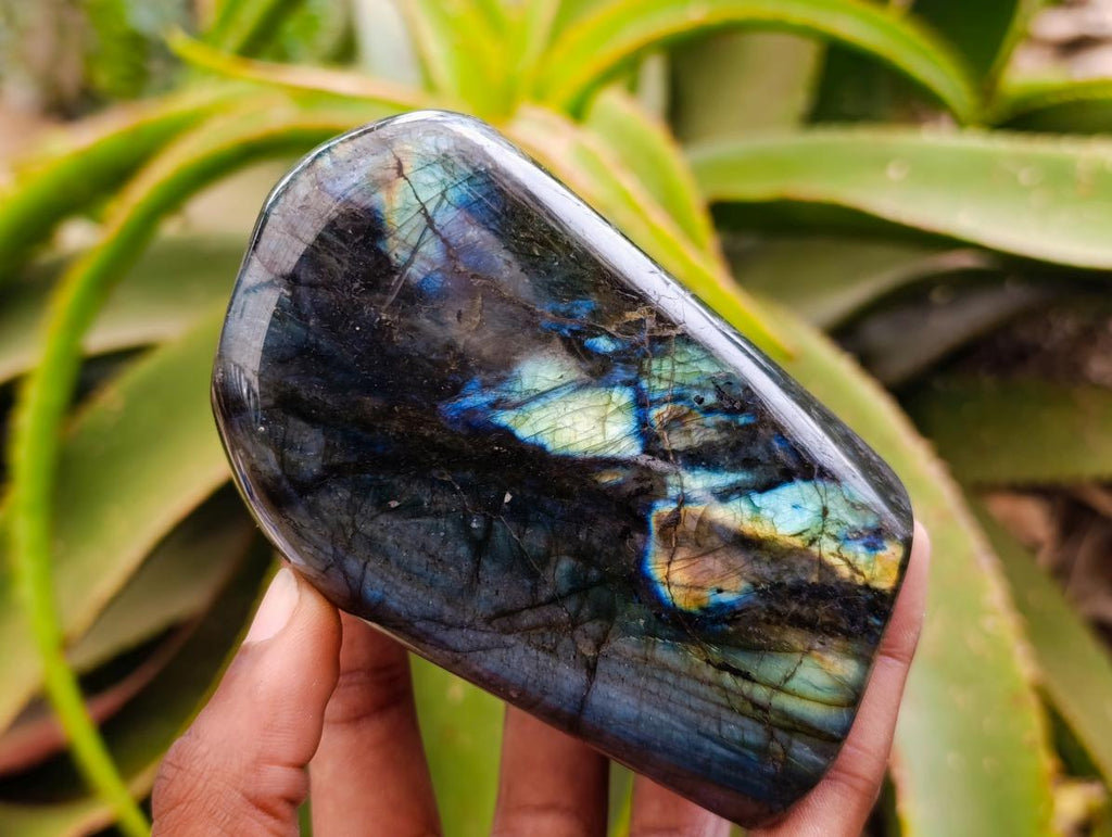 Polished Labradorite Standing Free Forms x 3 From Tulear, Madagascar