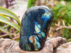 Polished Labradorite Standing Free Forms x 3 From Tulear, Madagascar