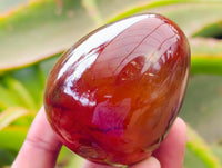 Polished Carnelian Gemstone Eggs x 6 From Madagascar