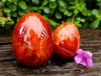 Polished Carnelian Gemstone Eggs x 6 From Madagascar