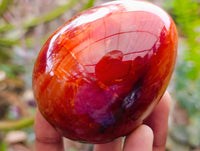 Polished Carnelian Gemstone Eggs x 6 From Madagascar