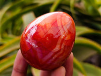 Polished Carnelian Gemstone Eggs x 6 From Madagascar