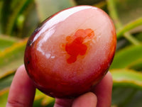 Polished Carnelian Gemstone Eggs x 6 From Madagascar