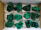 Natural Silky Malachite Specimens x 12 From Kasompe, Congo