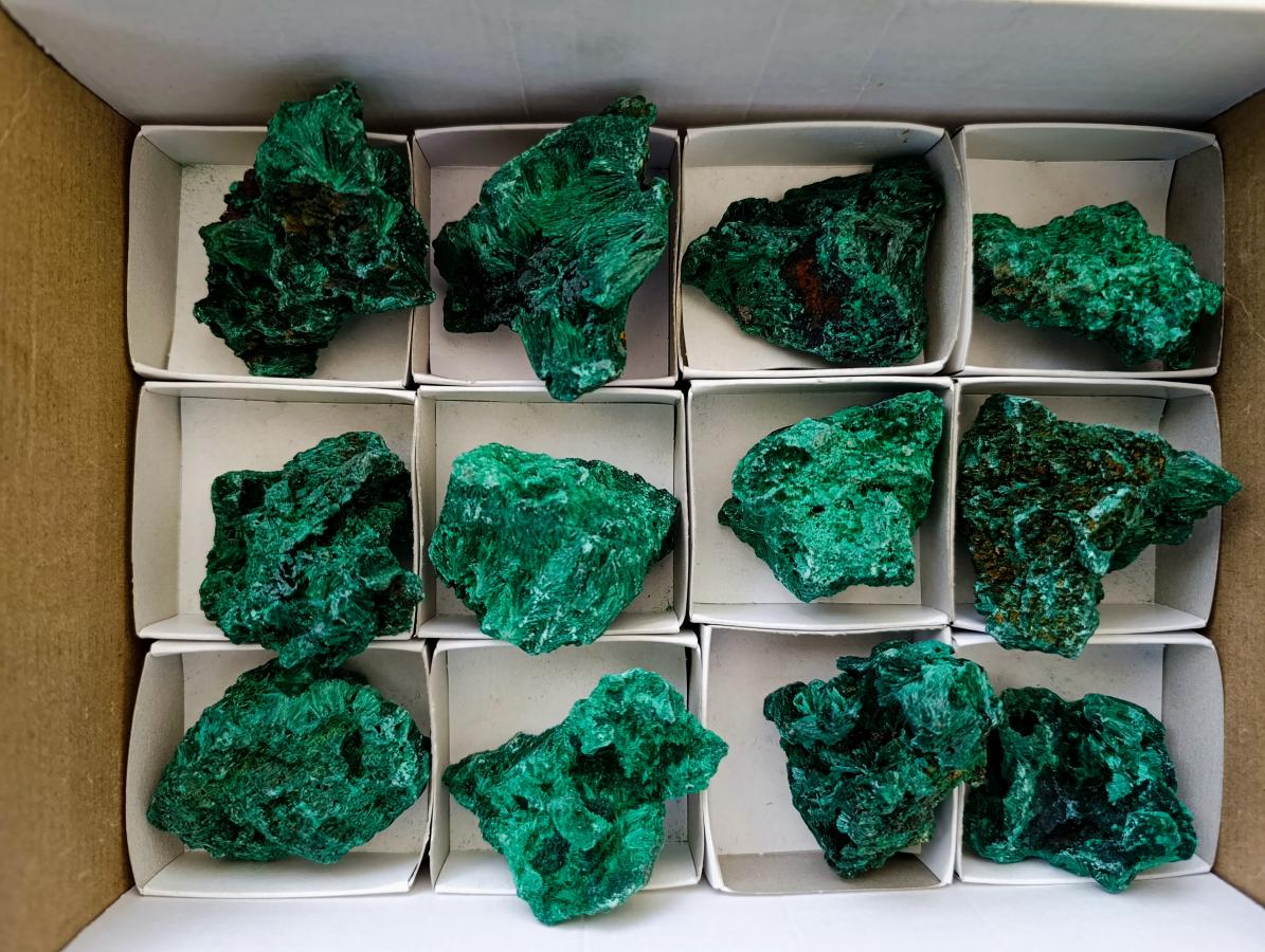 Natural Silky Malachite Specimens x 12 From Kasompe, Congo