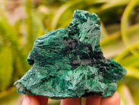 Natural Silky Malachite Specimens x 12 From Kasompe, Congo