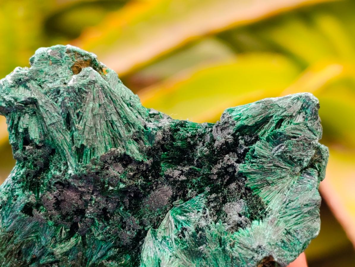 Natural Silky Malachite Specimens x 12 From Kasompe, Congo