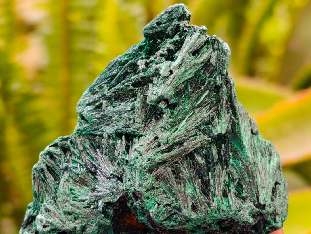 Natural Silky Malachite Specimens x 12 From Kasompe, Congo