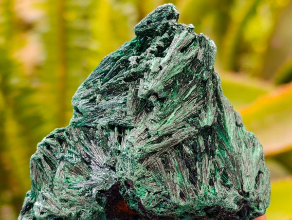 Natural Silky Malachite Specimens x 12 From Kasompe, Congo