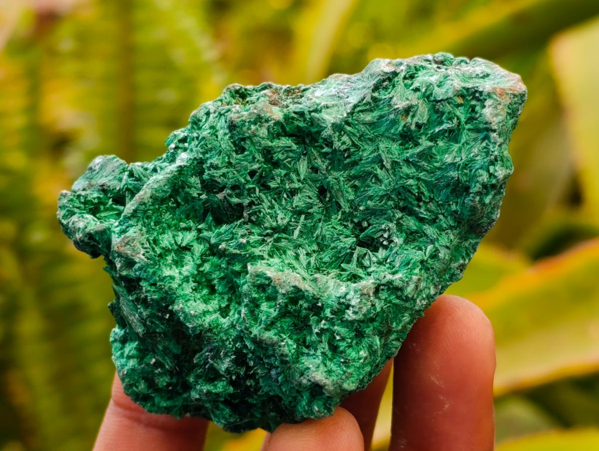 Natural Silky Malachite Specimens x 12 From Kasompe, Congo