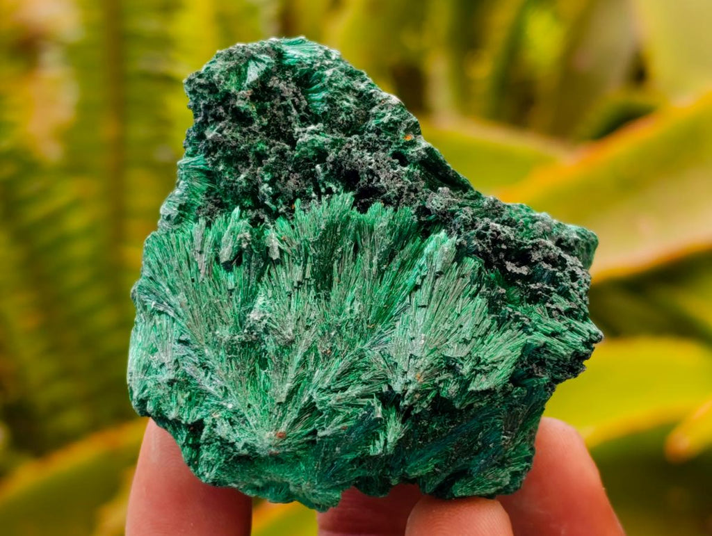 Natural Silky Malachite Specimens x 12 From Kasompe, Congo