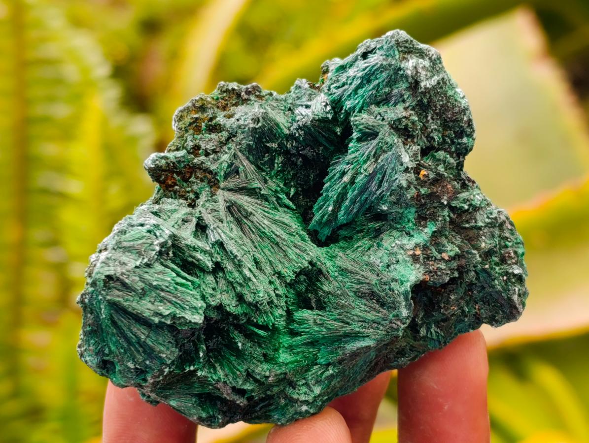 Natural Silky Malachite Specimens x 12 From Kasompe, Congo