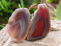 Polished On One Side Red Shashe River Agate Nodules x 40 From Shashe River, Zimbabwe