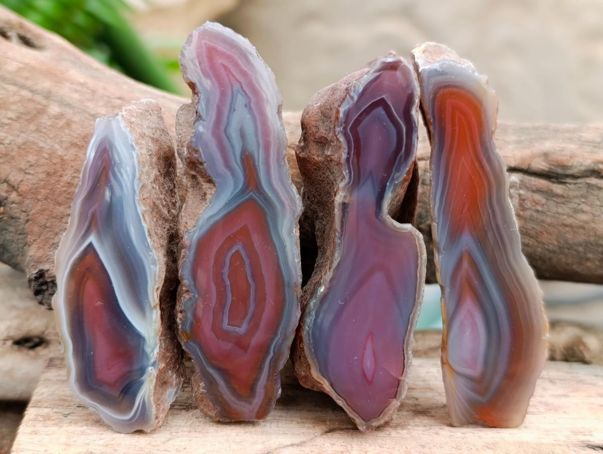 Polished On One Side Red Shashe River Agate Nodules x 40 From Shashe River, Zimbabwe