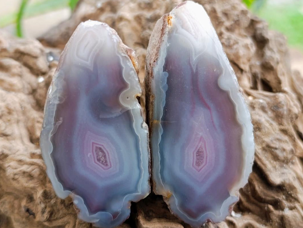 Polished On One Side Red Shashe River Agate Nodules x 40 From Shashe River, Zimbabwe