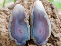 Polished On One Side Red Shashe River Agate Nodules x 40 From Shashe River, Zimbabwe