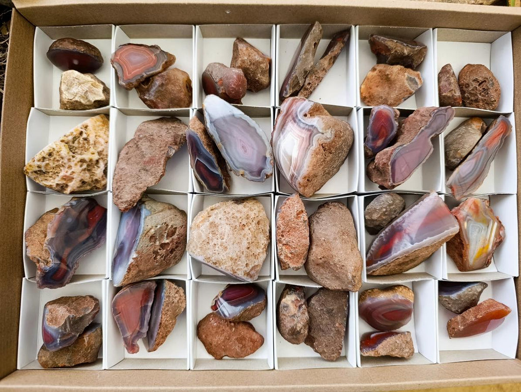 Polished On One Side Red Shashe River Agate Nodules x 40 From Shashe River, Zimbabwe