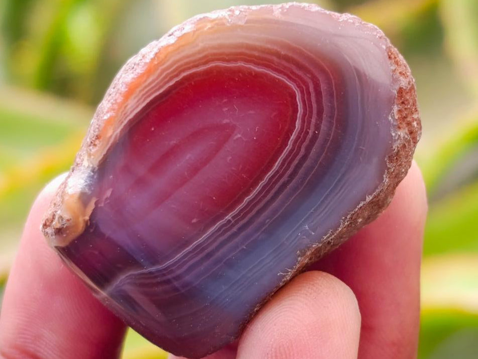 Polished On One Side Red Shashe River Agate Nodules x 40 From Shashe River, Zimbabwe