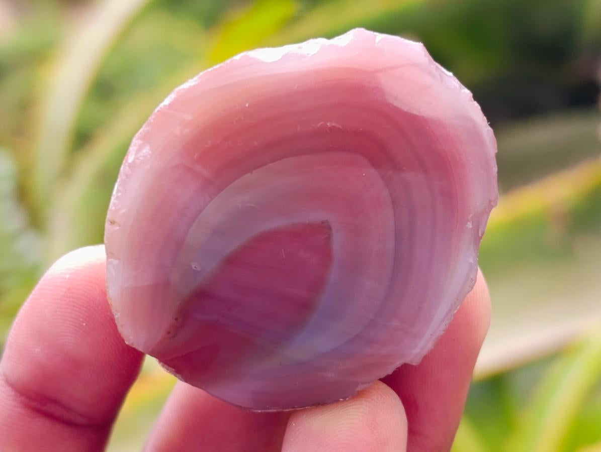 Polished On One Side Red Shashe River Agate Nodules x 40 From Shashe River, Zimbabwe