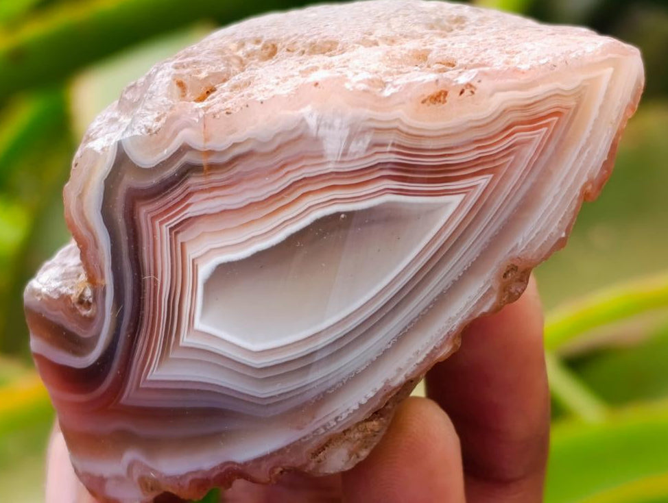 Polished On One Side Red Shashe River Agate Nodules x 40 From Shashe River, Zimbabwe