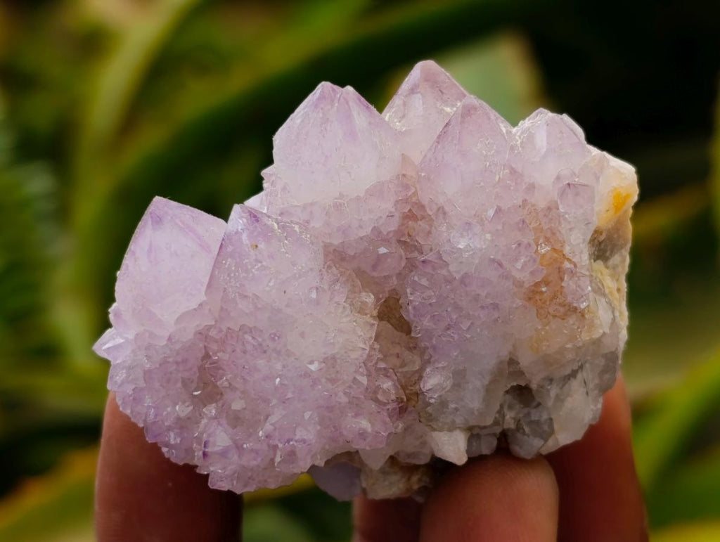 Natural Lilac Amethyst and Ametrine Spirit Clusters and Crystals x 12 From Boekenhouthoek, South Africa