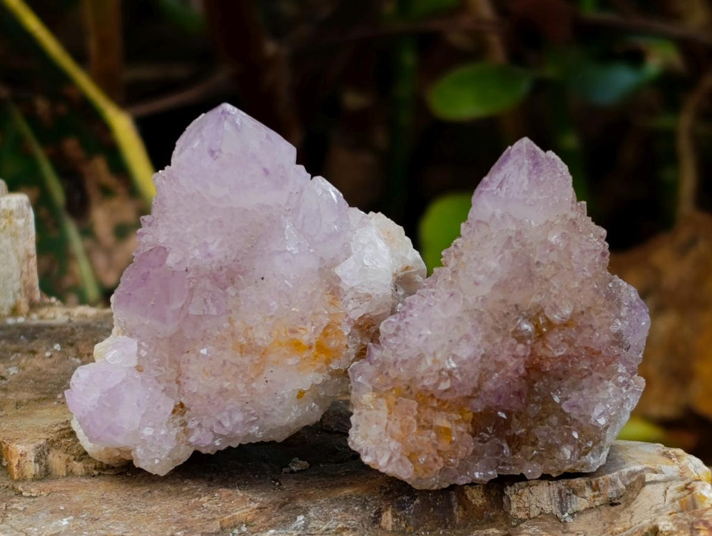 Natural Lilac Amethyst and Ametrine Spirit Clusters and Crystals x 12 From Boekenhouthoek, South Africa