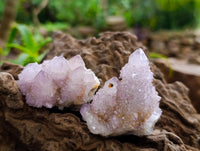 Natural Lilac Amethyst and Ametrine Spirit Clusters and Crystals x 12 From Boekenhouthoek, South Africa