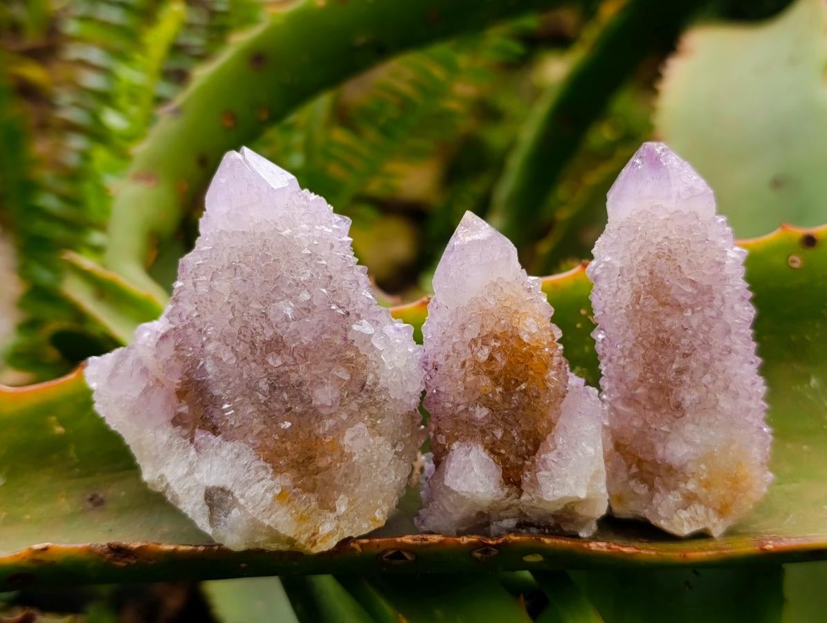 Natural Lilac Amethyst and Ametrine Spirit Clusters and Crystals x 12 From Boekenhouthoek, South Africa