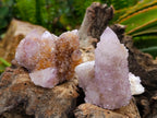 Natural Lilac Amethyst and Ametrine Spirit Clusters and Crystals x 12 From Boekenhouthoek, South Africa