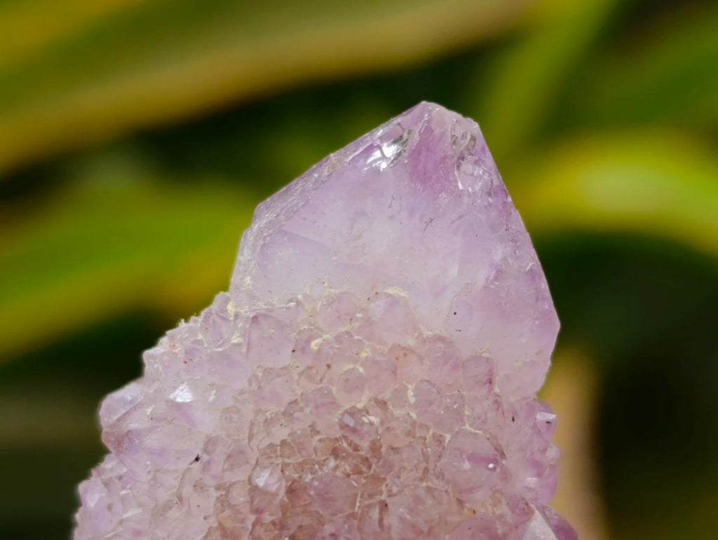 Natural Lilac Amethyst and Ametrine Spirit Clusters and Crystals x 12 From Boekenhouthoek, South Africa