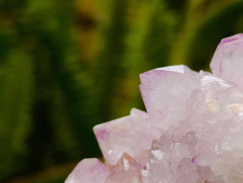 Natural Lilac Amethyst and Ametrine Spirit Clusters and Crystals x 12 From Boekenhouthoek, South Africa