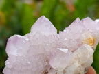 Natural Lilac Amethyst and Ametrine Spirit Clusters and Crystals x 12 From Boekenhouthoek, South Africa