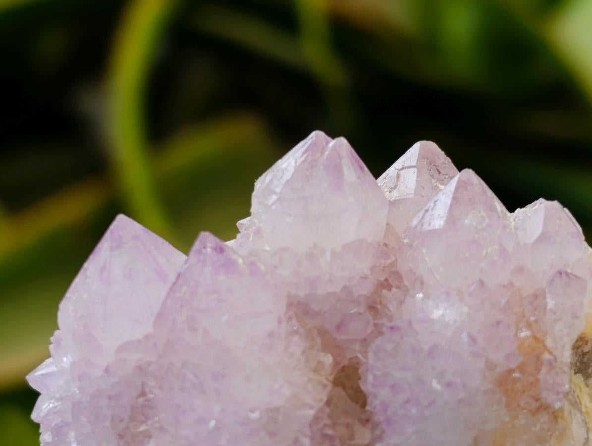 Natural Lilac Amethyst and Ametrine Spirit Clusters and Crystals x 12 From Boekenhouthoek, South Africa