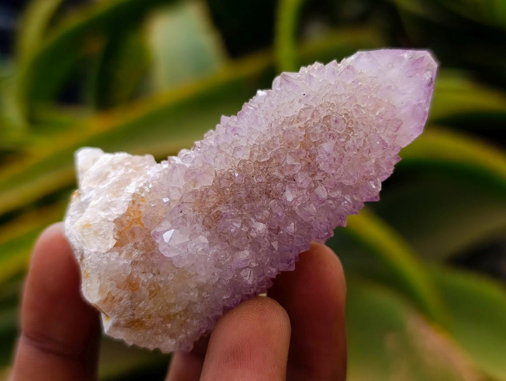 Natural Lilac Amethyst and Ametrine Spirit Clusters and Crystals x 12 From Boekenhouthoek, South Africa