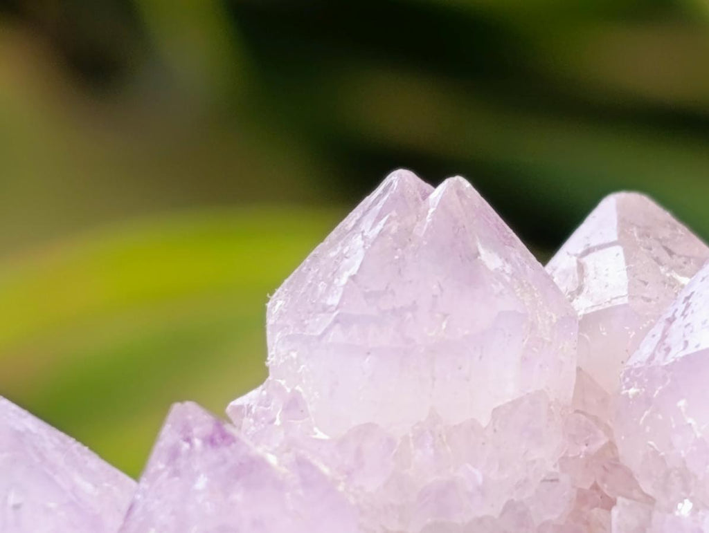 Natural Lilac Amethyst and Ametrine Spirit Clusters and Crystals x 12 From Boekenhouthoek, South Africa