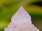Natural Lilac Amethyst and Ametrine Spirit Clusters and Crystals x 12 From Boekenhouthoek, South Africa