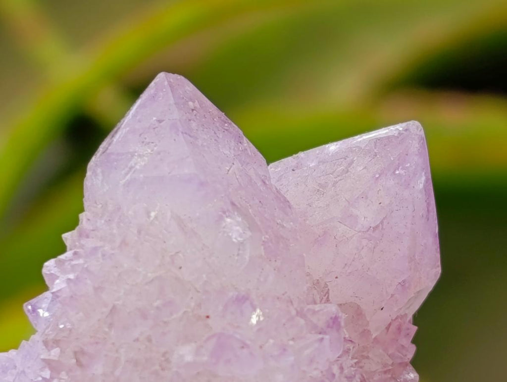 Natural Lilac Amethyst and Ametrine Spirit Clusters and Crystals x 12 From Boekenhouthoek, South Africa