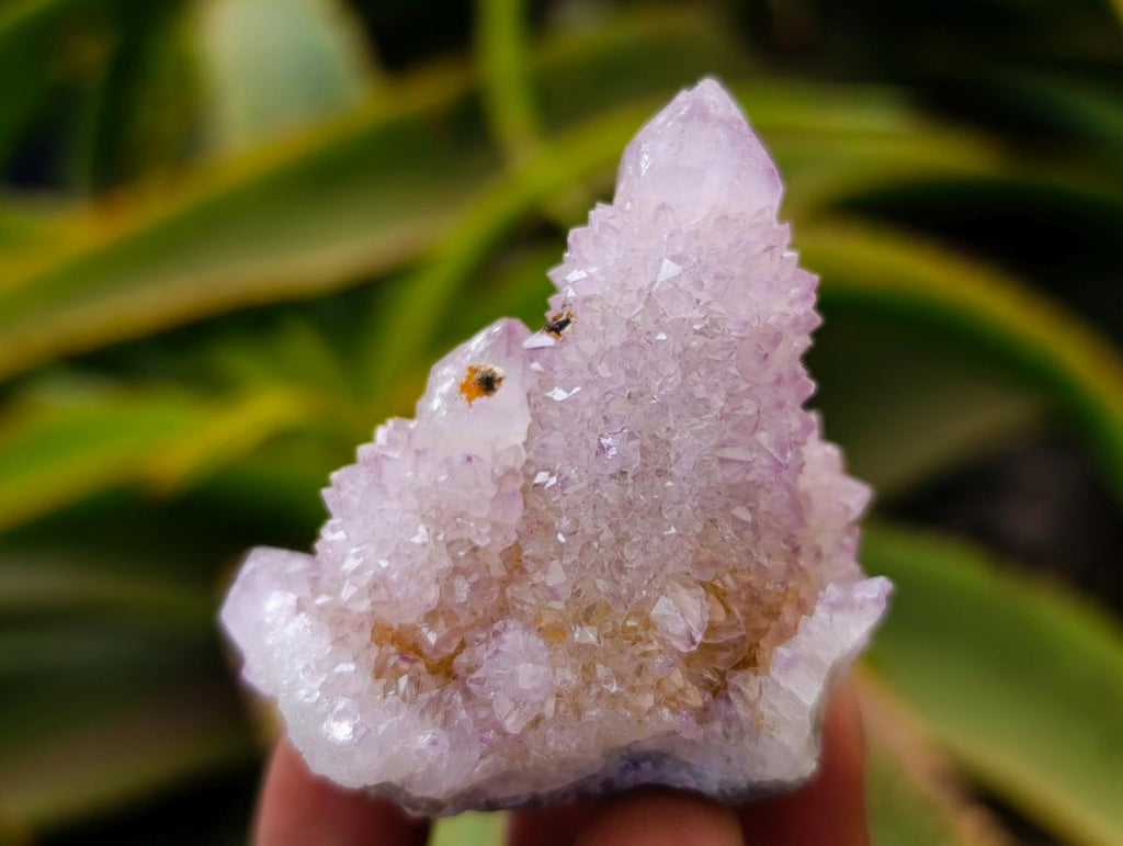 Natural Lilac Amethyst and Ametrine Spirit Clusters and Crystals x 12 From Boekenhouthoek, South Africa