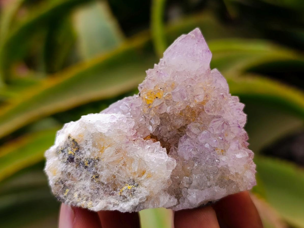 Natural Lilac Amethyst and Ametrine Spirit Clusters and Crystals x 12 From Boekenhouthoek, South Africa