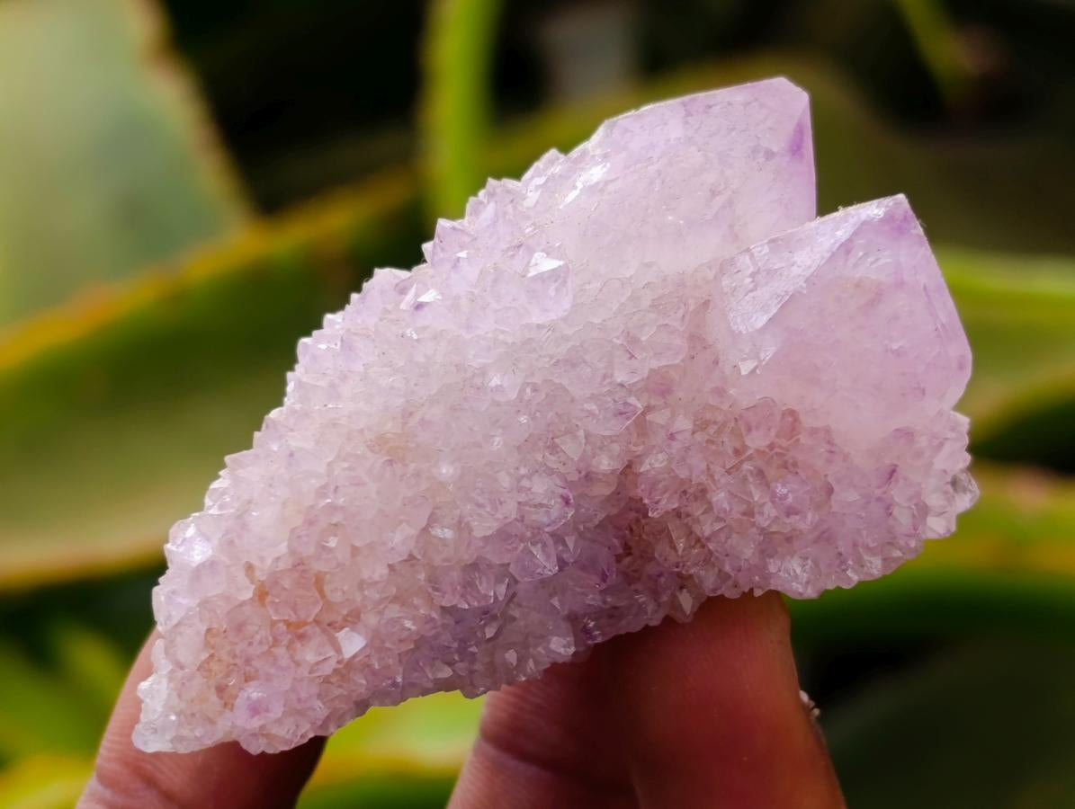 Natural Lilac Amethyst and Ametrine Spirit Clusters and Crystals x 12 From Boekenhouthoek, South Africa