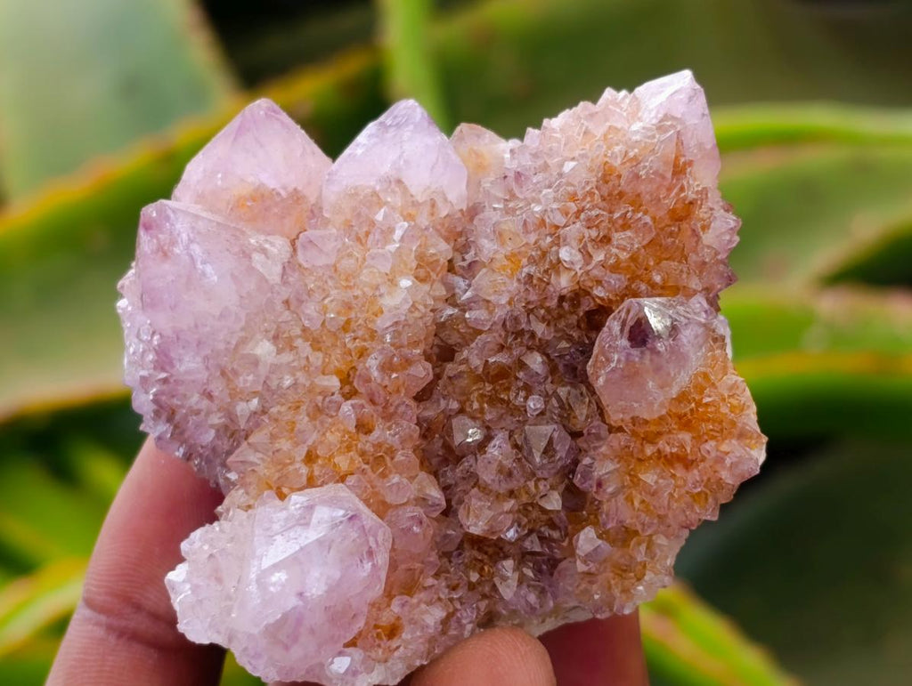 Natural Lilac Amethyst and Ametrine Spirit Clusters and Crystals x 12 From Boekenhouthoek, South Africa